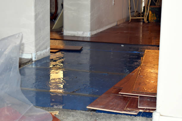 Professional Basement Flood Cleanup technician working in Greentown, OH